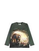 Molo Reif Khaki Green