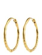 Pilgrim Between Hoops Gold-Plated Guld
