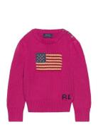 Ralph Lauren Kids Flag Cotton Crewneck Sweater Rosa