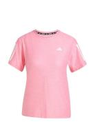 Adidas Performance Otr B Tee Rosa