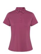 Under Armour Ua Playoff Ss Polo Lila