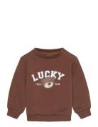 The New Tnsbperseus Sweatshirt Brun