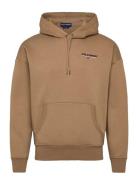 Polo Ralph Lauren Relaxed Fit Polo Sport Hoodie Brun