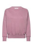 Lee Jeans Raglan Crew Sws Rosa