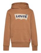 Levi's Po-Pull-Over Hoody Beige