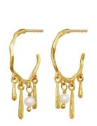 Maanesten Fricka Earrings Guld