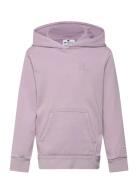 Champion Hooded Sweatshirt Rosa