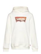 Levi's Po-Pull-Over Hoody Vit