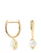 PD Paola Pdpaola La Perla Mini Hoops Guld