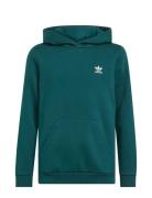 Adidas Originals Hoodie Grön