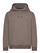 Morris Brandon Lily Hood Brun