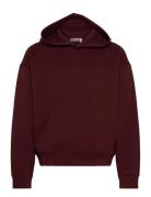 Weekday Simon Scuba Hoodie Burgundy