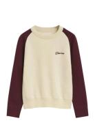 GANT Color Blocked Cotton C-Neck Multi/patterned